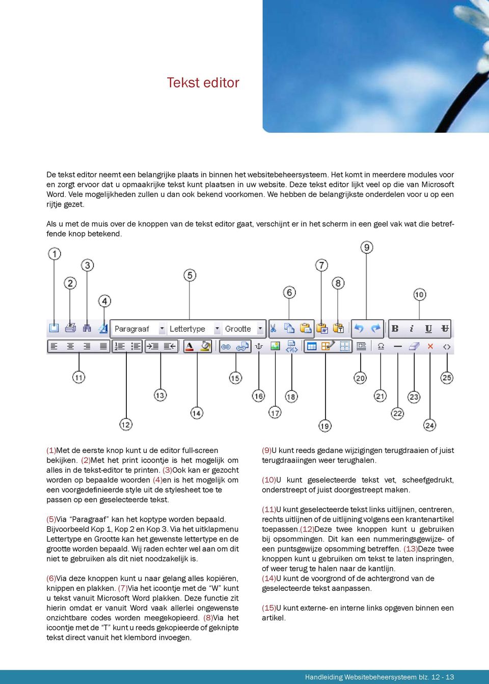 Als u met de muis over de knoppen van de tekst editor gaat, verschijnt er in het scherm in een geel vak wat die betreffende knop betekend. (1)Met de eerste knop kunt u de editor full-screen bekijken.