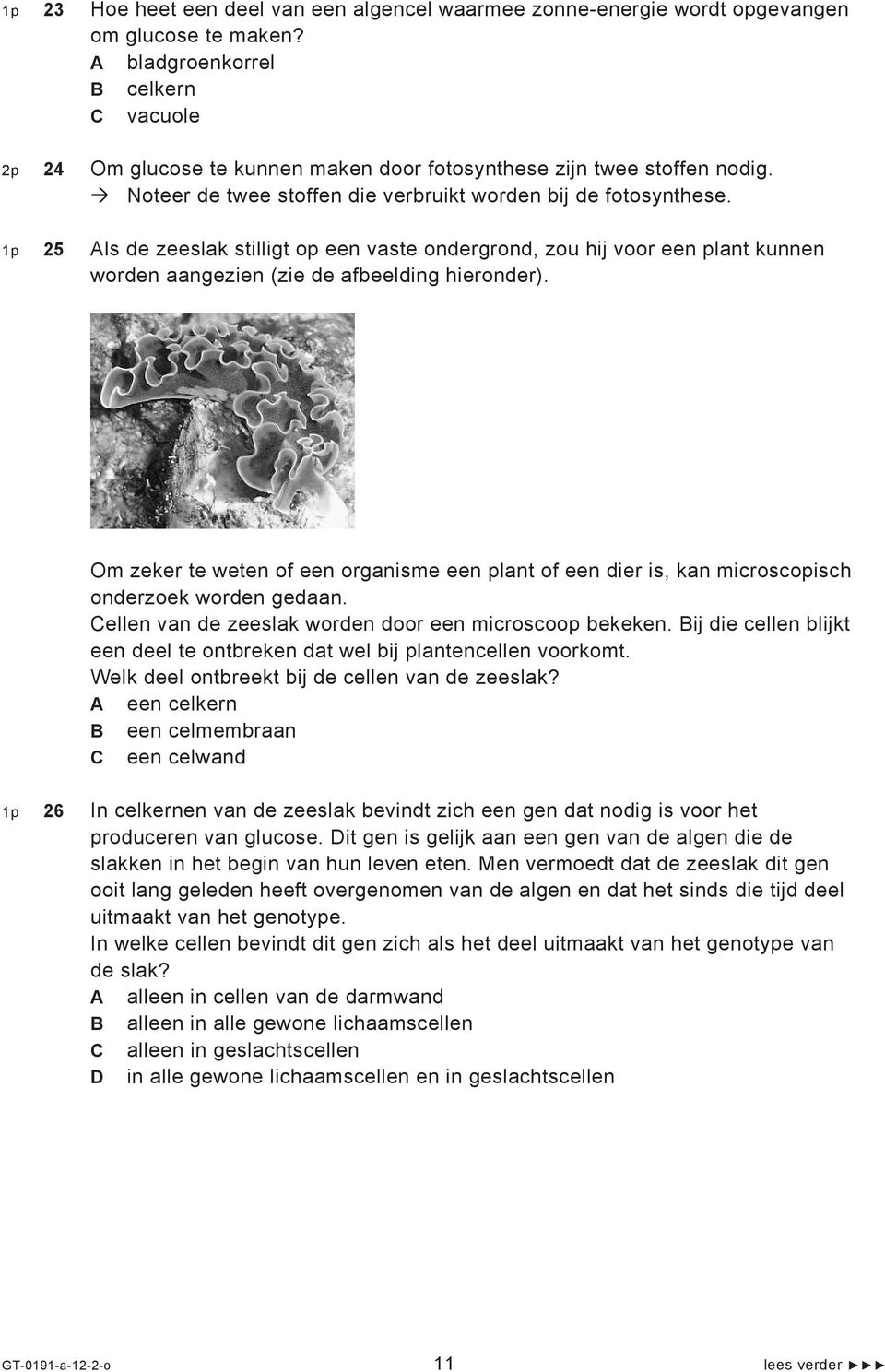 1p 25 Als de zeeslak stilligt op een vaste ondergrond, zou hij voor een plant kunnen worden aangezien (zie de afbeelding hieronder).