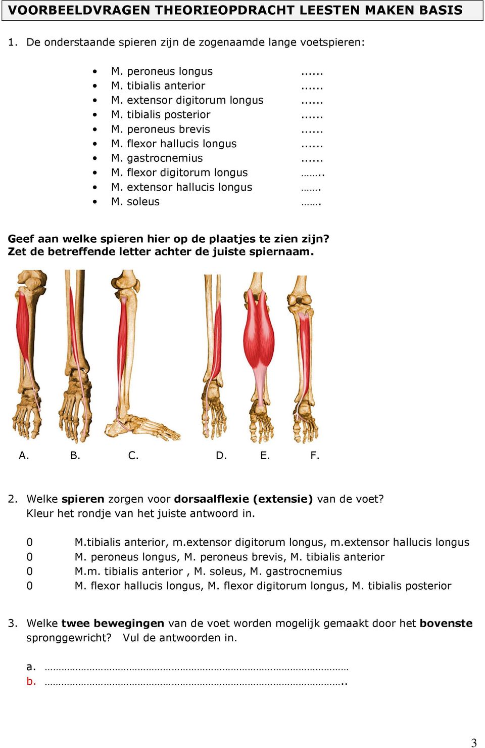 Zet de betreffende letter achter de juiste spiernaam. A. B. C. D. E. F. 2. Welke spieren zorgen voor dorsaalflexie (extensie) van de voet? Kleur het rondje van het juiste antwoord in. 0 M.