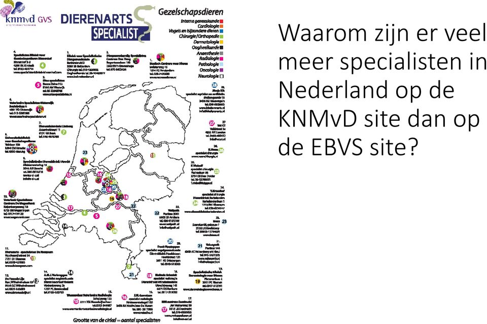 Nederland op de KNMvD