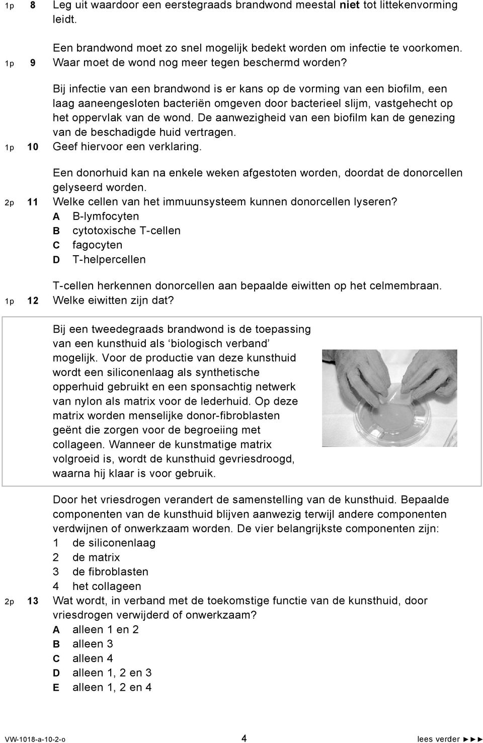 Bij infectie van een brandwond is er kans op de vorming van een biofilm, een laag aaneengesloten bacteriën omgeven door bacterieel slijm, vastgehecht op het oppervlak van de wond.