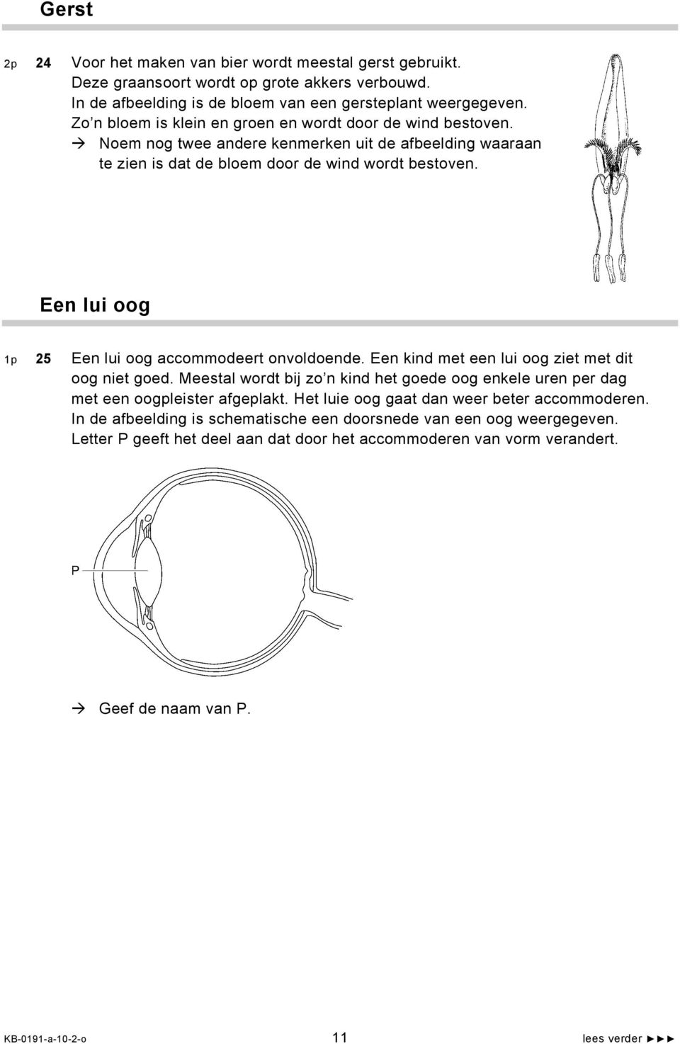 Een lui oog 1p 25 Een lui oog accommodeert onvoldoende. Een kind met een lui oog ziet met dit oog niet goed.