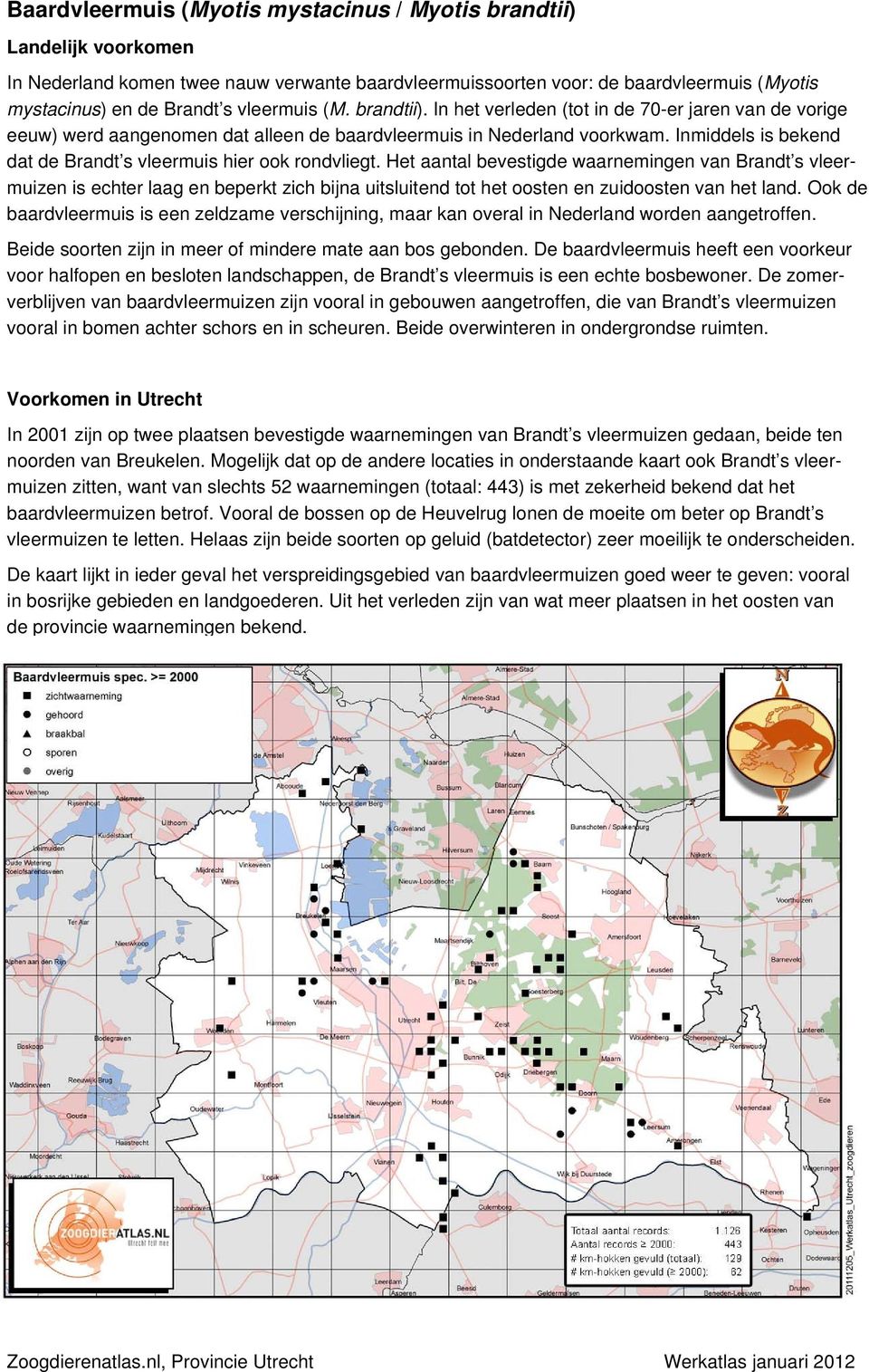 Het aantal bevestigde waarnemingen van Brandt s vleermuizen is echter laag en beperkt zich bijna uitsluitend tot het oosten en zuidoosten van het land.