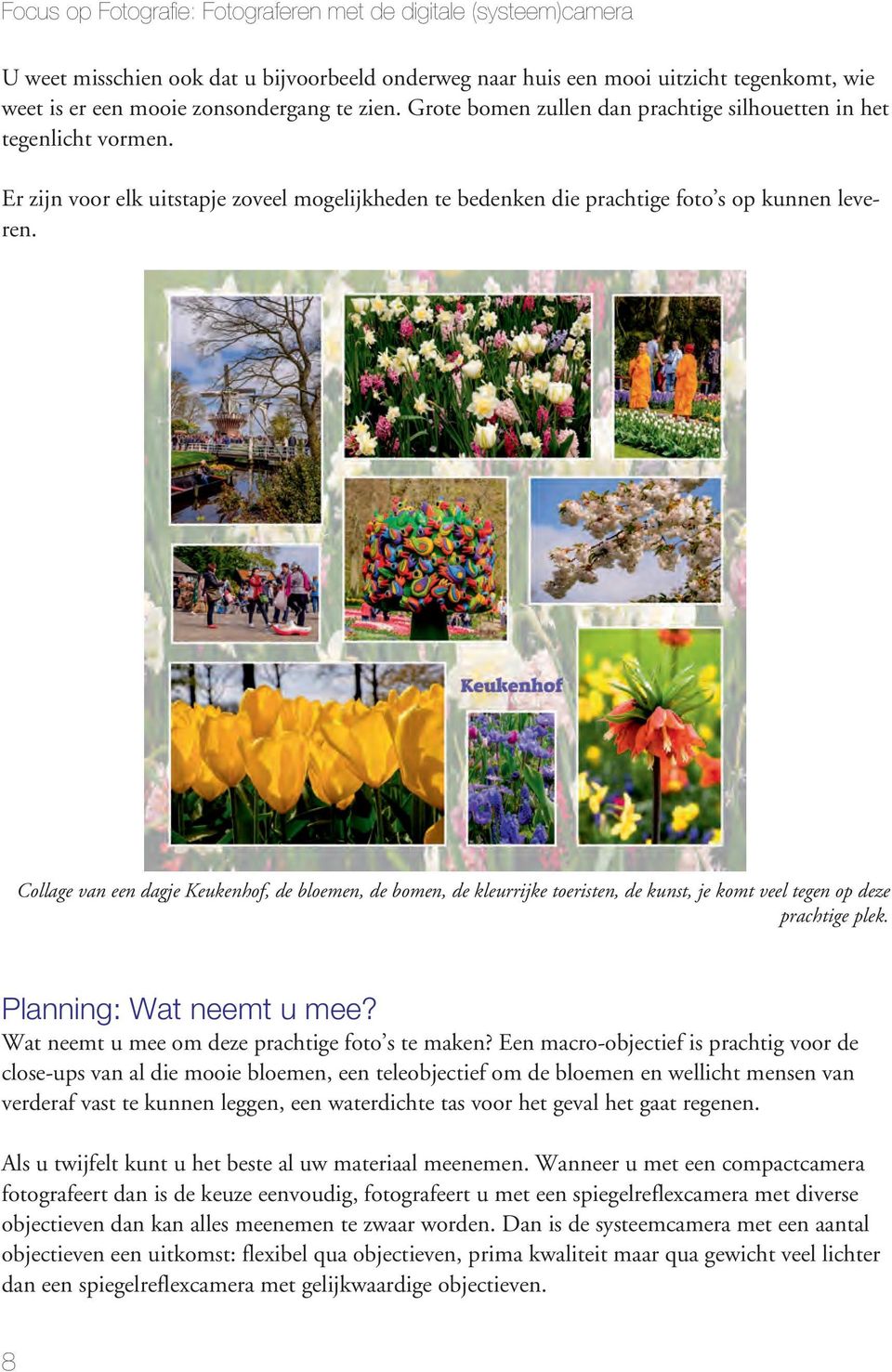 Collage van een dagje Keukenhof, de bloemen, de bomen, de kleurrijke toeristen, de kunst, je komt veel tegen op deze prachtige plek. 01-005 Planning: Wat neemt u mee?