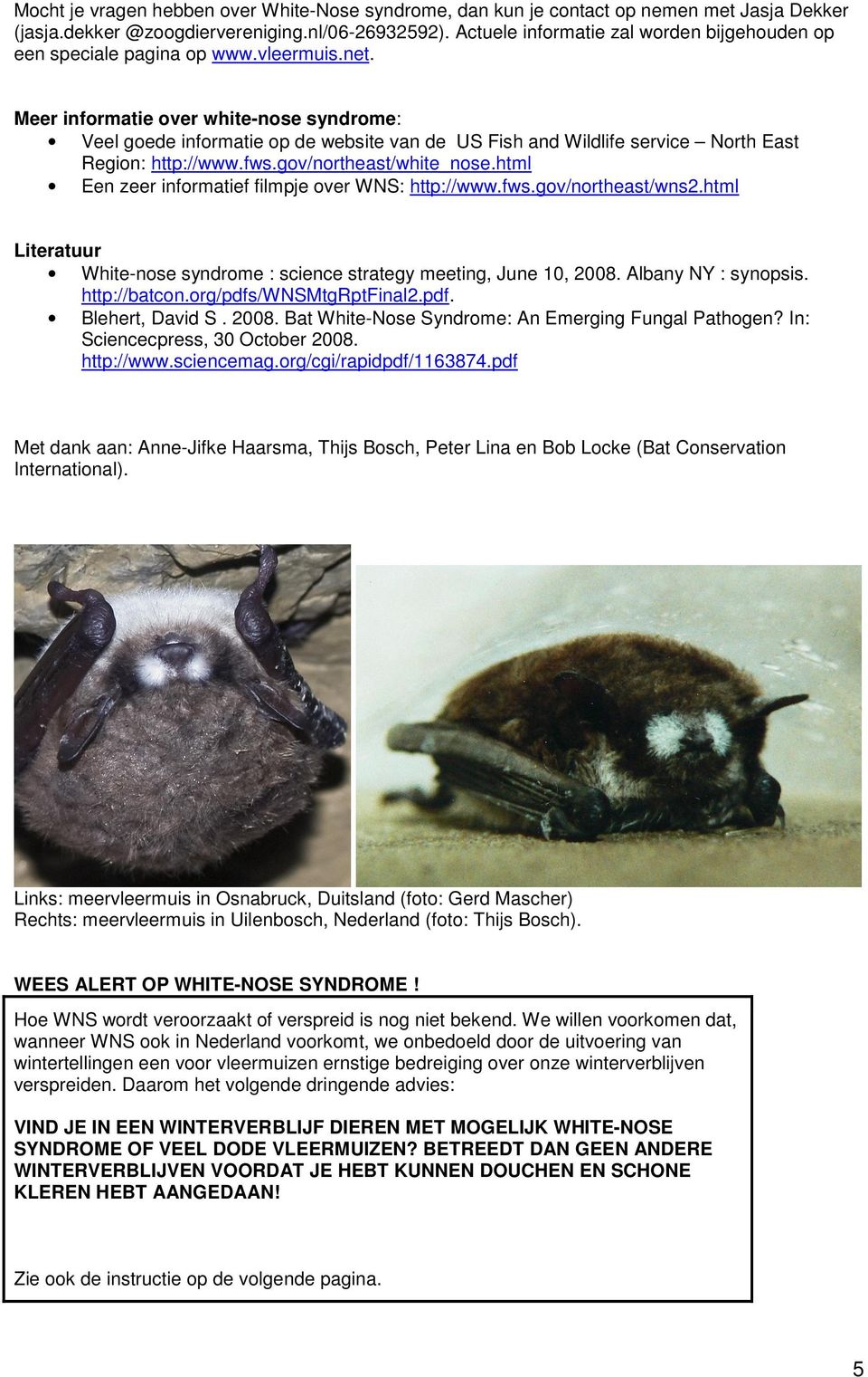 Meer informatie over white-nose syndrome: Veel goede informatie op de website van de US Fish and Wildlife service North East Region: http://www.fws.gov/northeast/white_nose.