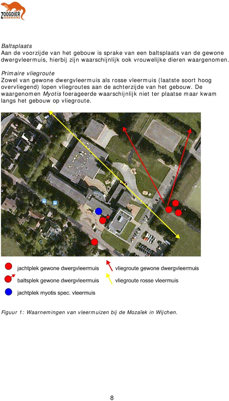 Primaire vliegroute Zowel van gewone dwergvleermuis als rosse vleermuis (laatste soort hoog overvliegend) lopen vliegroutes