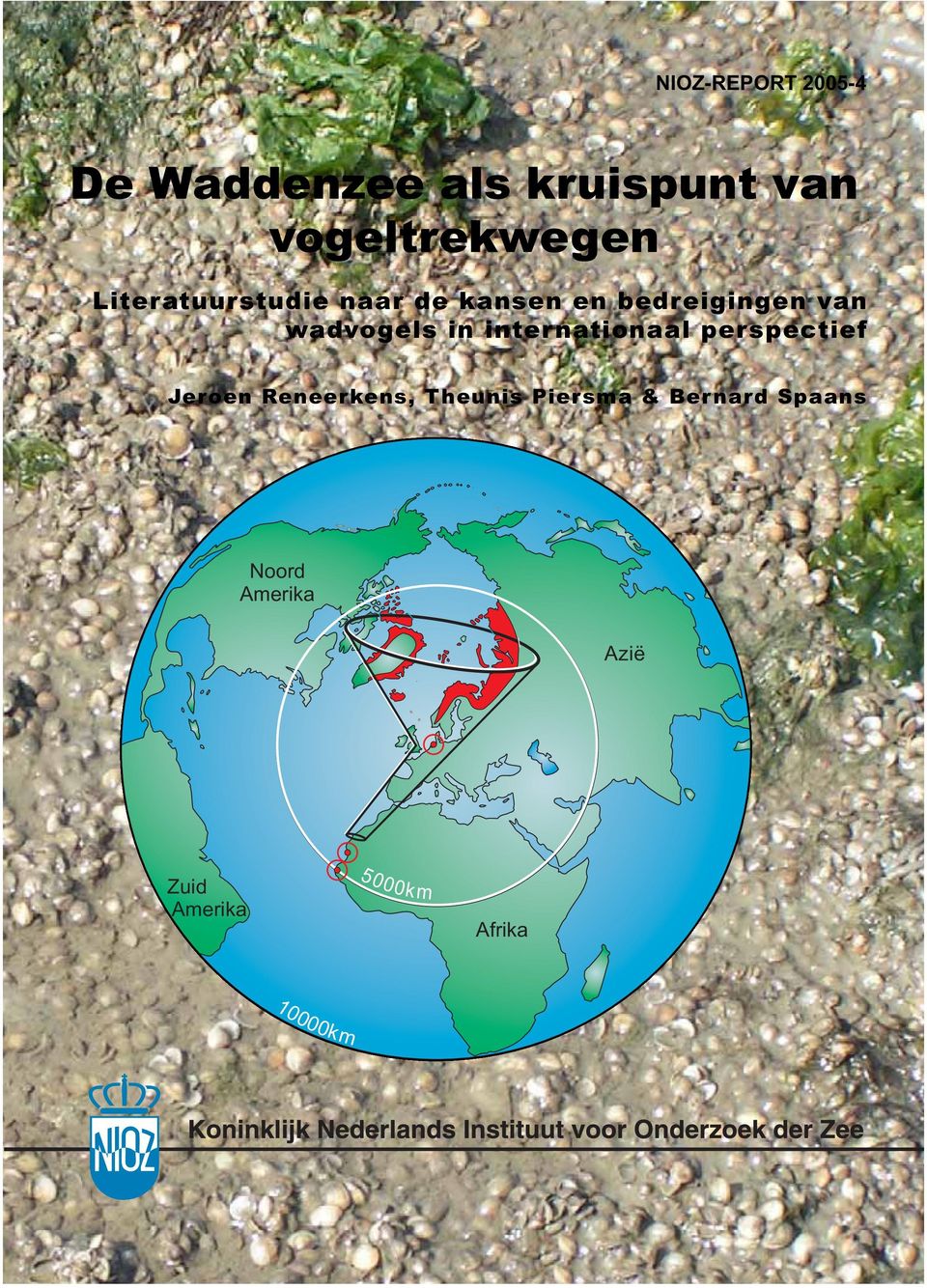 van wadvogels in internationaal perspectief Jeroen Reneerkens,