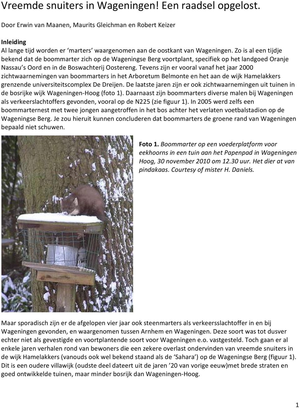 Tevens zijn er vooral vanaf het jaar 2000 zichtwaarnemingen van boommarters in het Arboretum Belmonte en het aan de wijk Hamelakkers grenzende universiteitscomplex De Dreijen.