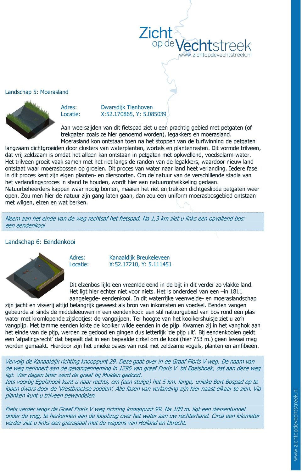 Moerasland kon ontstaan toen na het stoppen van de turfwinning de petgaten langzaam dichtgroeiden door clusters van waterplanten, wortels en plantenresten.