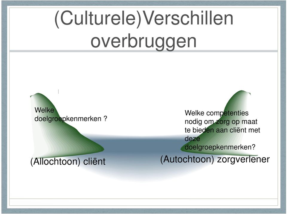 (Allochtoon) cliënt Welke competenties nodig om