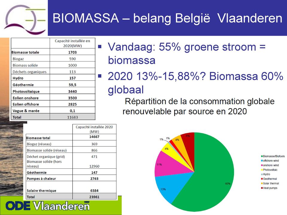 groene stroom = biomassa