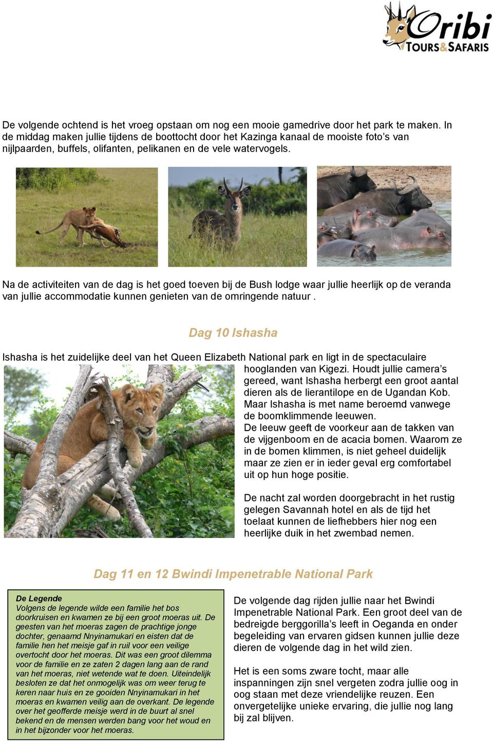 Na de activiteiten van de dag is het goed toeven bij de Bush lodge waar jullie heerlijk op de veranda van jullie accommodatie kunnen genieten van de omringende natuur.