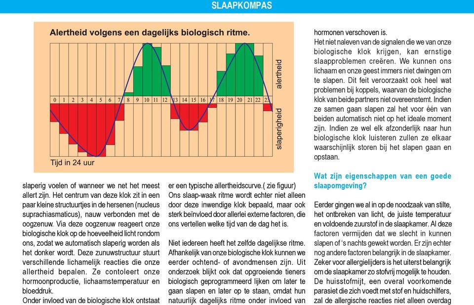 Deze zunuwstructuur stuurt verschillende lichamelijk reacties die onze allertheid bepalen. Ze contoleert onze hormoonproductie, lichaamstemperatuur en bloeddruk.