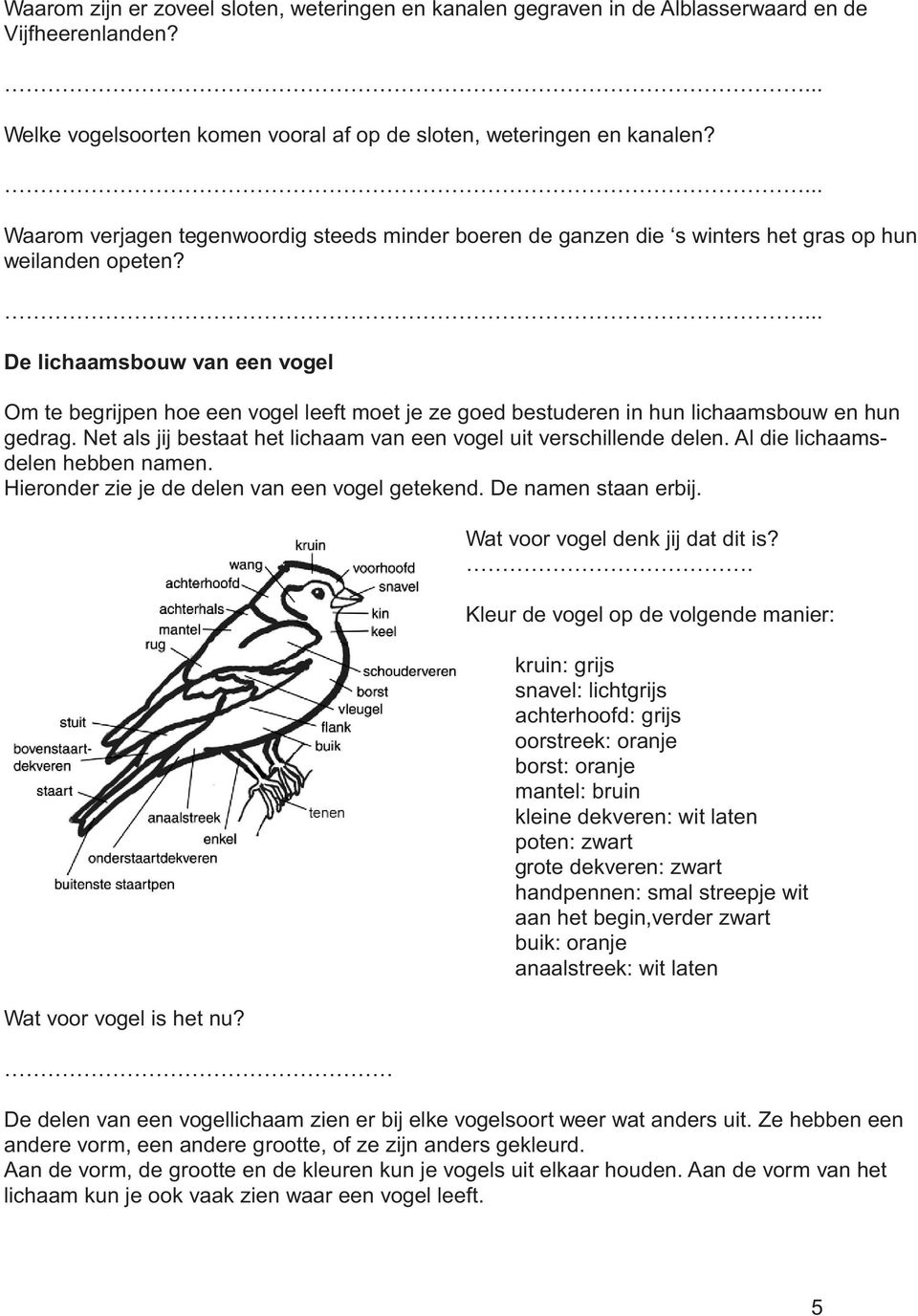 De lichaamsbouw van een vogel Om te begrijpen hoe een vogel leeft moet je ze goed bestuderen in hun lichaamsbouw en hun gedrag. Net als jij bestaat het lichaam van een vogel uit verschillende delen.
