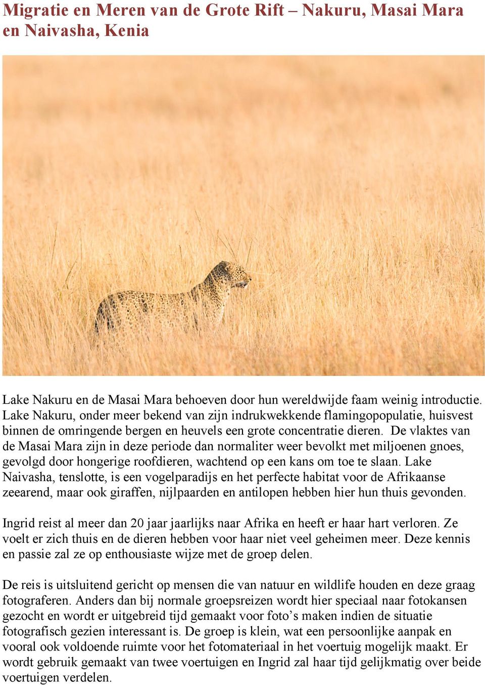 De vlaktes van de Masai Mara zijn in deze periode dan normaliter weer bevolkt met miljoenen gnoes, gevolgd door hongerige roofdieren, wachtend op een kans om toe te slaan.