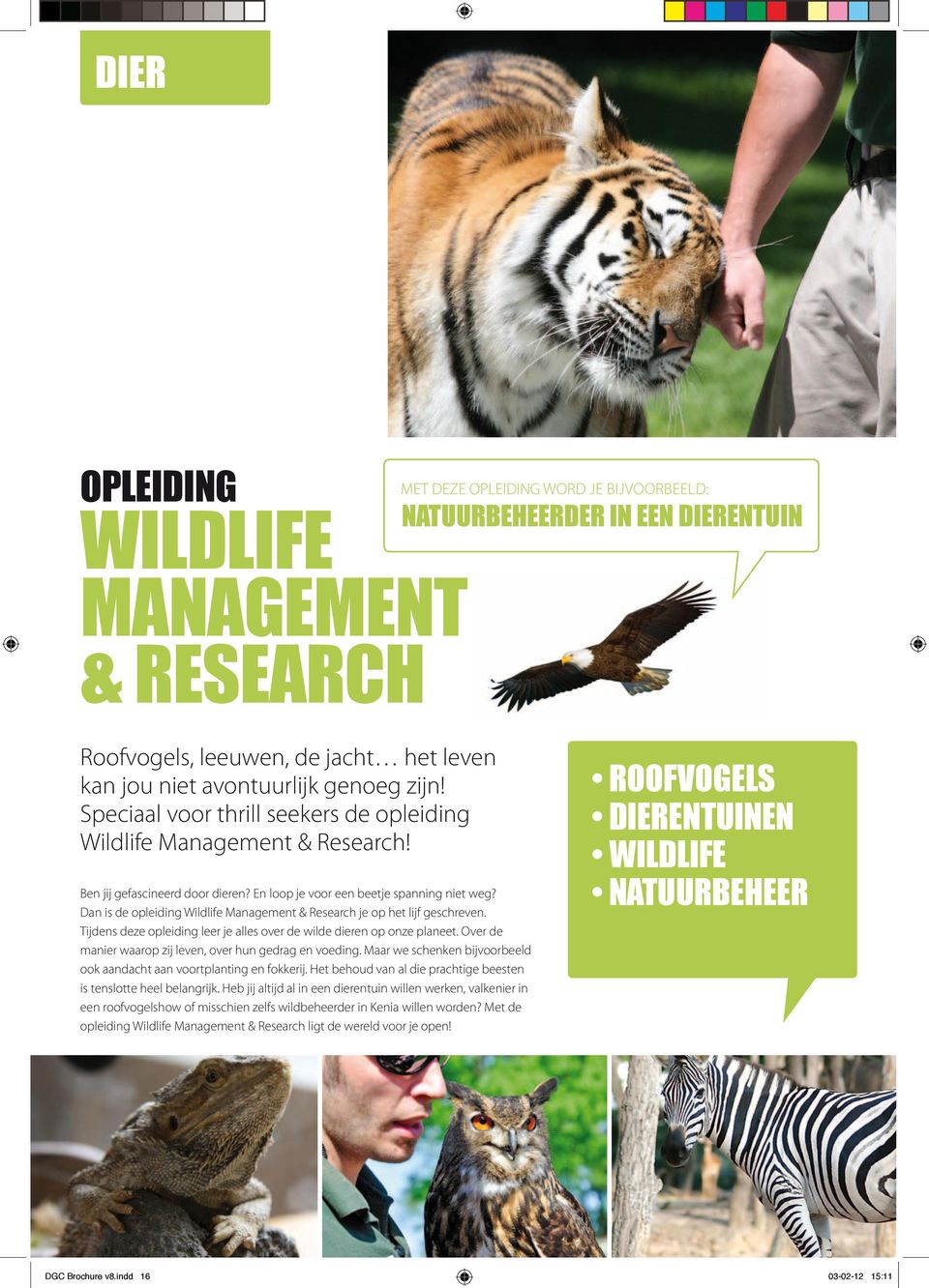 Dan is de opleiding Wildlife Management & Research je op het lijf geschreven. Tijdens deze opleiding leer je alles over de wilde dieren op onze planeet.