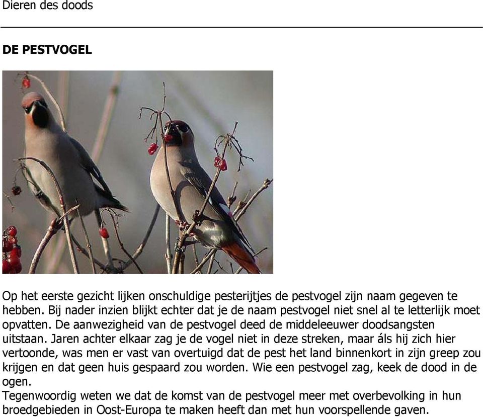 Jaren achter elkaar zag je de vogel niet in deze streken, maar áls hij zich hier vertoonde, was men er vast van overtuigd dat de pest het land binnenkort in zijn greep zou