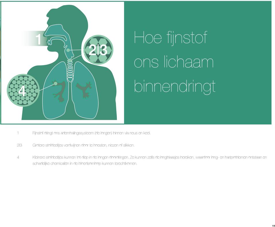 4 Kleinere stofdeeltjes kunnen tot diep in de longen doordringen.