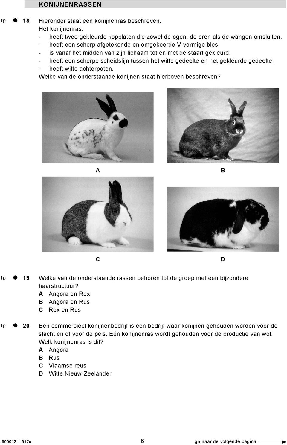 - heeft een scherpe scheidslijn tussen het witte gedeelte en het gekleurde gedeelte. - heeft witte achterpoten. Welke van de onderstaande konijnen staat hierboven beschreven?