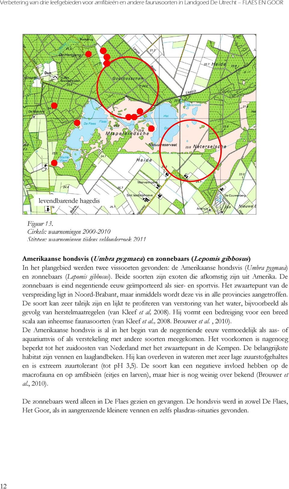 gevonden: de Amerikaanse hondsvis (Umbra pygmaea) en zonnebaars (Lepomis gibbosus). Beide soorten zijn exoten die afkomstig zijn uit Amerika.