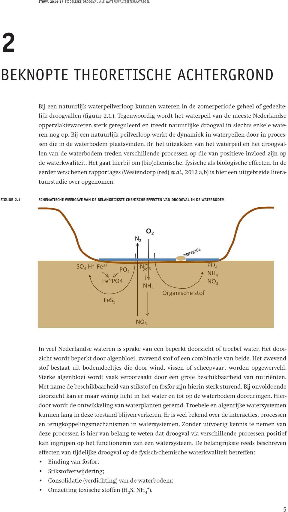 Bij een natuurlijk peilverloop werkt de dynamiek in waterpeilen door in processen die in de waterbodem plaatsvinden.