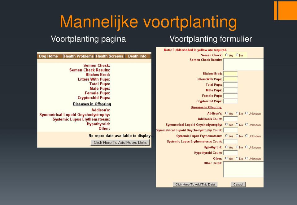 Voortplanting