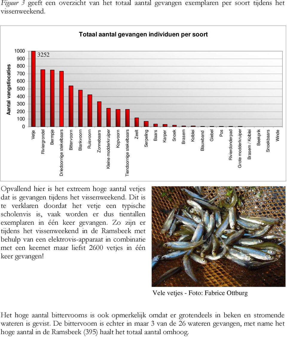 Zonnebaars Kleine modderkruiper Kopvoorn Tiendoornige stekelbaars Zeelt Serpeling Baars Karper Snoek Brasem Kolblei Blauwband Giebel Pos Rivierdonderpad Grote modderkruiper Brasem / Kolblei Beekprik