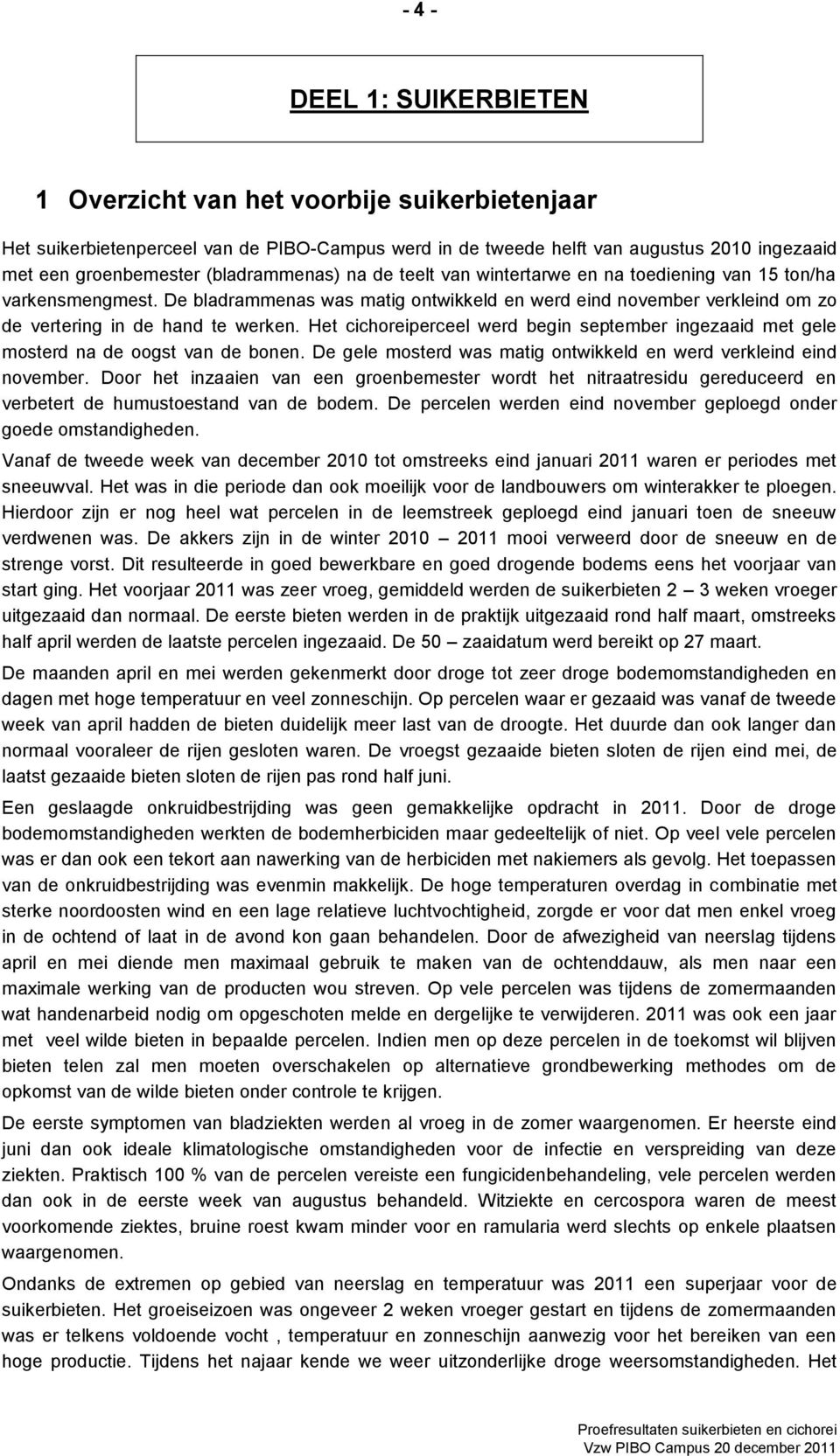 Het cichoreiperceel werd begin september ingezaaid met gele mosterd na de oogst van de bonen. De gele mosterd was matig ontwikkeld en werd verkleind eind november.