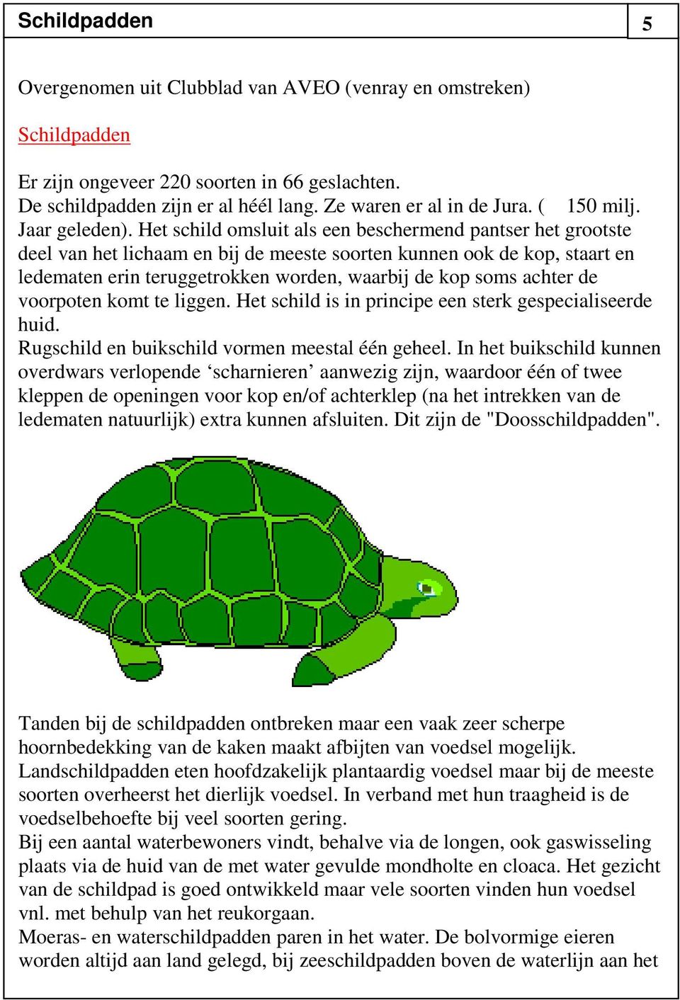 Het schild omsluit als een beschermend pantser het grootste deel van het lichaam en bij de meeste soorten kunnen ook de kop, staart en ledematen erin teruggetrokken worden, waarbij de kop soms achter