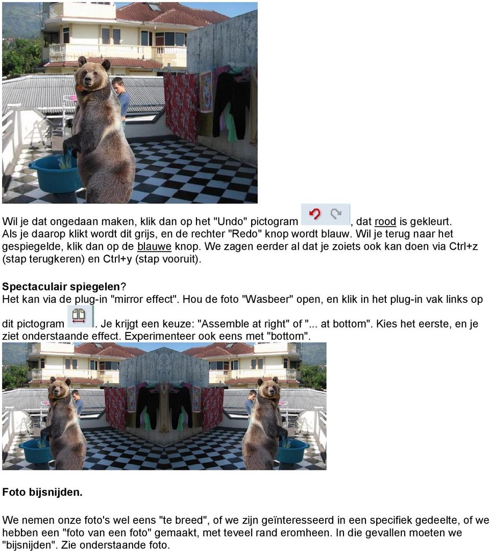 Het kan via de plug-in "mirror effect". Hou de foto "Wasbeer" open, en klik in het plug-in vak links op dit pictogram. Je krijgt een keuze: "Assemble at right" of "... at bottom".