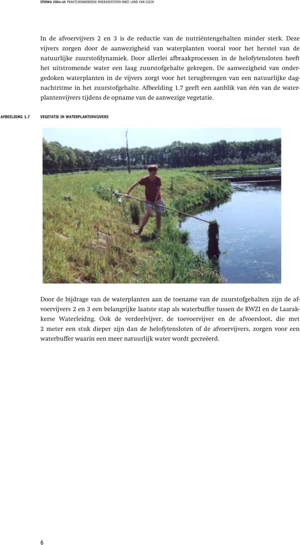 De aanwezigheid van ondergedoken waterplanten in de vijvers zorgt voor het terugbrengen van een natuurlijke dagnachtritme in het zuurstofgehalte. Afbeelding 1.