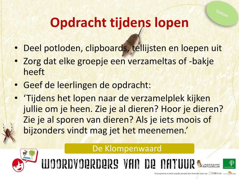 het lopen naar de verzamelplek kijken jullie om je heen. Zie je al dieren?