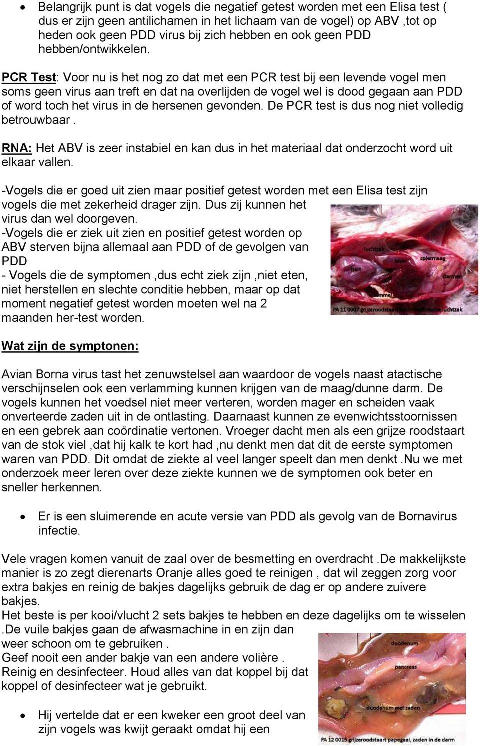 PCR Test: Voor nu is het nog zo dat met een PCR test bij een levende vogel men soms geen virus aan treft en dat na overlijden de vogel wel is dood gegaan aan PDD of word toch het virus in de hersenen