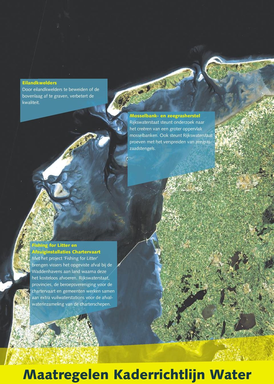 Ook steunt Rijkswaterstaat proeven met het verspreiden van zeegraszaadstengels.