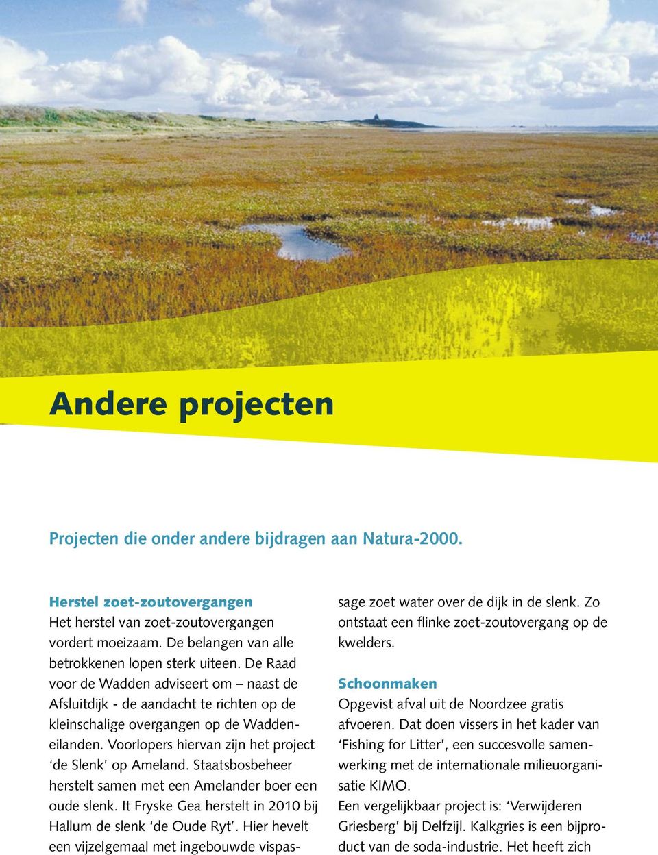 Voorlopers hiervan zijn het project de Slenk op Ameland. Staatsbosbeheer herstelt samen met een Amelander boer een oude slenk. It Fryske Gea herstelt in 2010 bij Hallum de slenk de Oude Ryt.