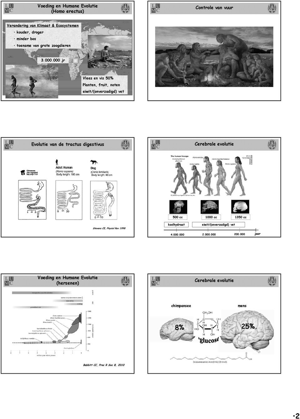 000 jr Vlees en vis 50% Planten, fruit, noten eiwit/(onverzadigd) vet Evolutie van de tractus digestivus Cerebrale evolutie 500