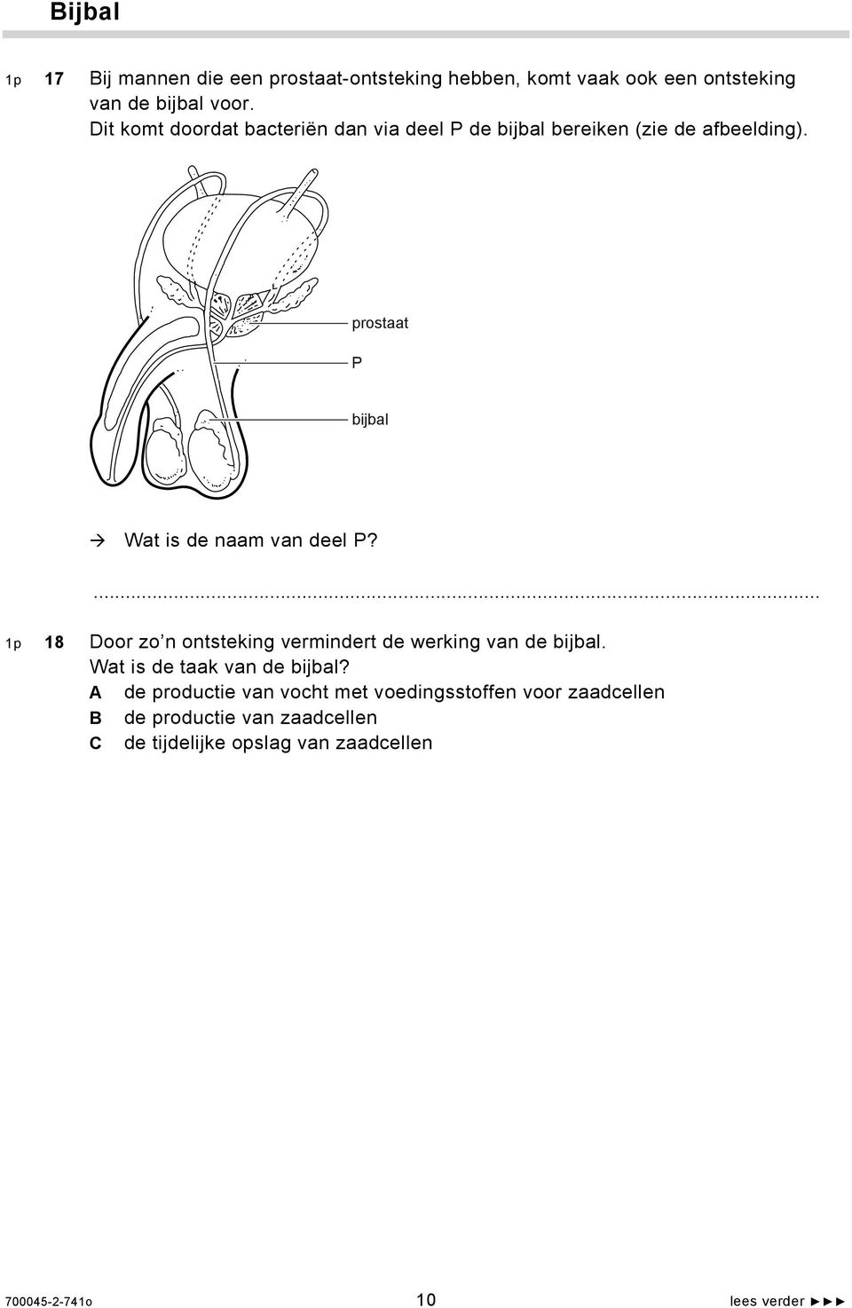 prostaat P bijbal Wat is de naam van deel P?... 1p 18 Door zo n ontsteking vermindert de werking van de bijbal.
