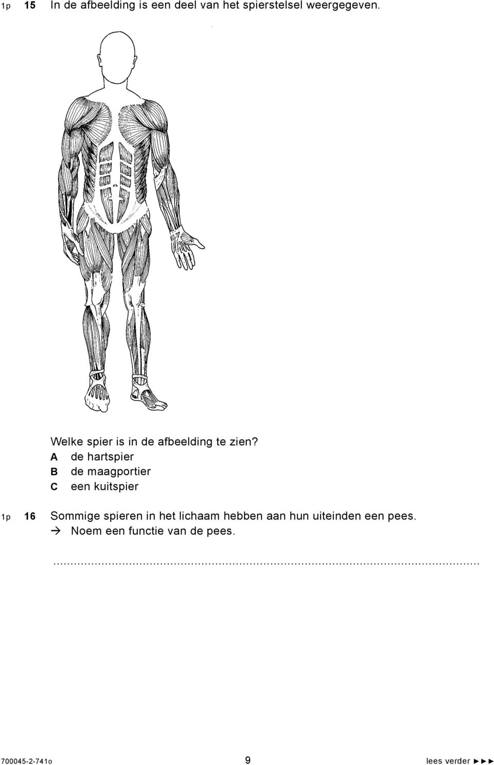 A de hartspier B de maagportier C een kuitspier 1p 16 Sommige spieren in