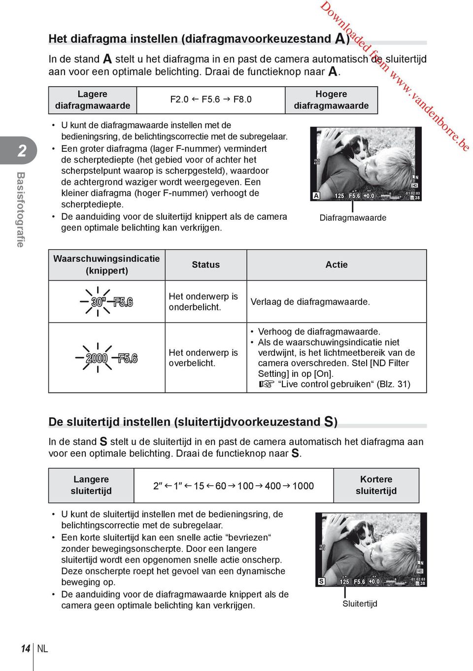 Een groter diafragma (lager F-nummer) vermindert de scherptediepte (het gebied voor of achter het scherpstelpunt waarop is scherpgesteld), waardoor de achtergrond waziger wordt weergegeven.