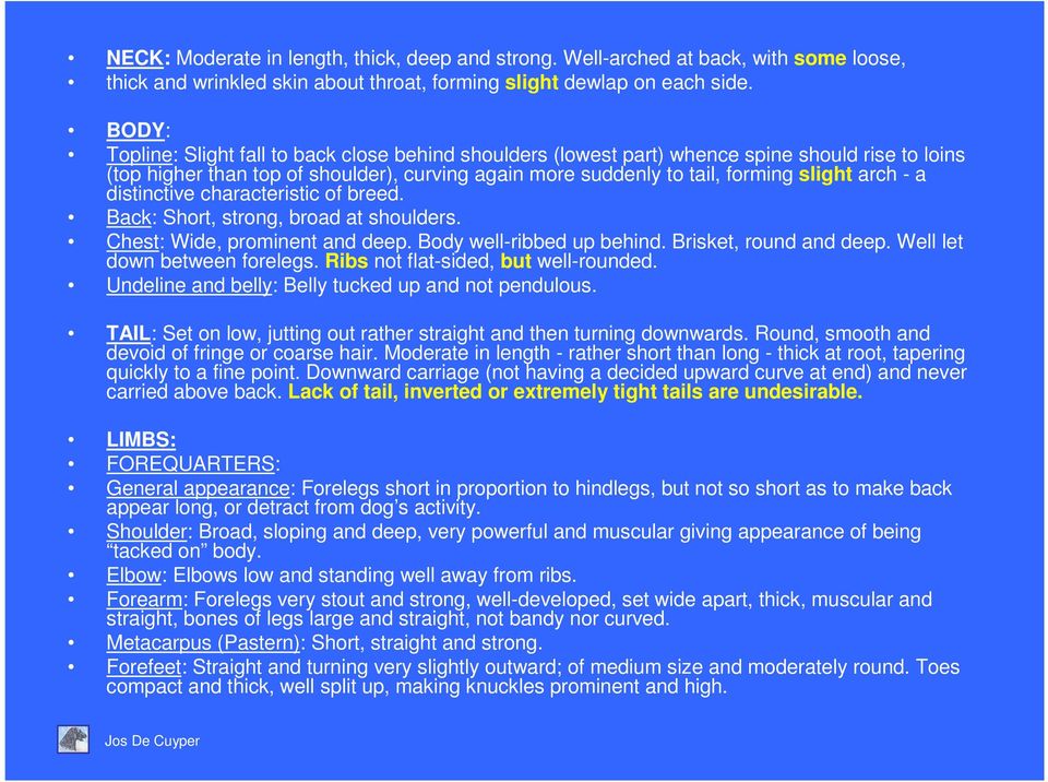 a distinctive characteristic of breed. Back: Short, strong, broad at shoulders. Chest: Wide, prominent and deep. Body well-ribbed up behind. Brisket, round and deep. Well let down between forelegs.