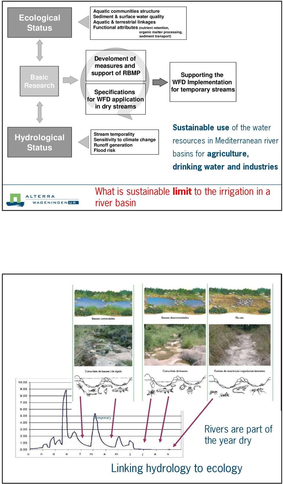 temporary streams Hydrological Status Stream temporality Sensitivity to climate change Runoff generation Flood risk Sustainable use of the water resources in Mediterranean river