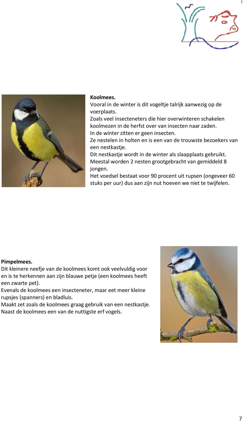 Meestal worden 2 nesten grootgebracht van gemiddeld 8 jongen. Het voedsel bestaat voor 90 procent uit rupsen (ongeveer 60 stuks per uur) dus aan zijn nut hoeven we niet te twijfelen. Pimpelmees.