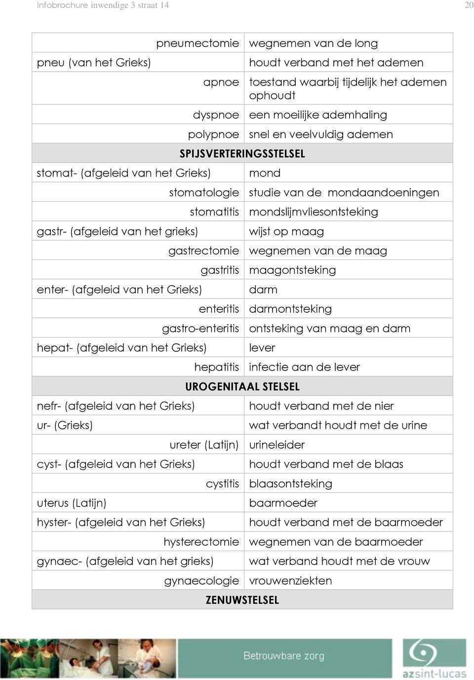 verband met het ademen apnoe toestand waarbij tijdelijk het ademen ophoudt dyspnoe een moeilijke ademhaling polypnoe snel en veelvuldig ademen SPIJSVERTERINGSSTELSEL mond stomatologie studie van de