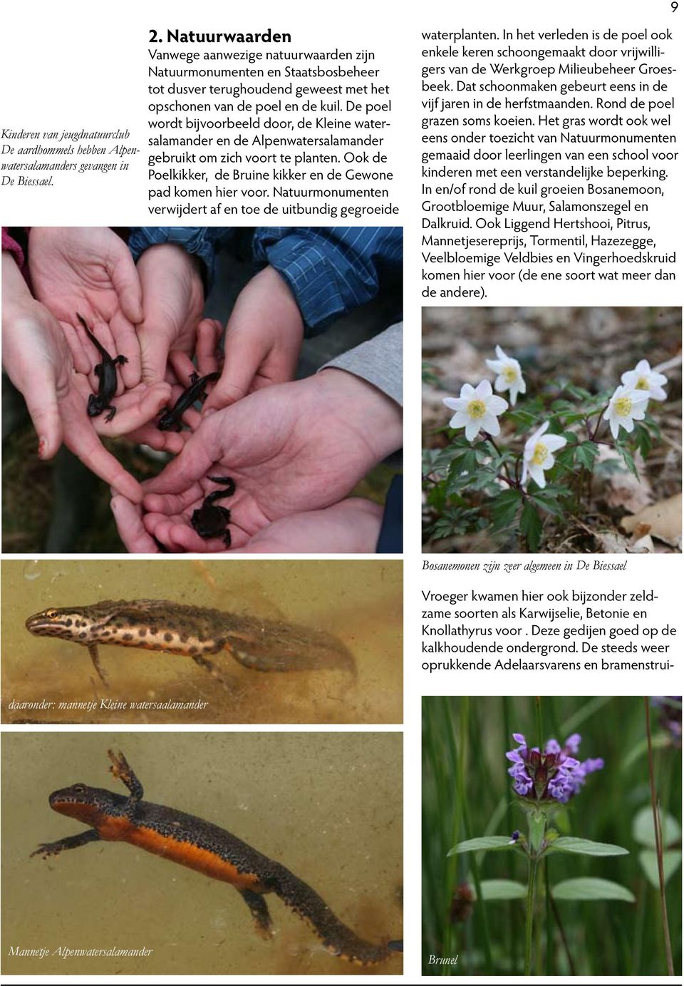 De poel wordt bijvoorbeeld door, de Kleine watersalamander en de Alpenwatersalamander gebruikt om zich voort te planten. Ook de Poelkikker, de Bruine kikker en de Gewone pad komen hier voor.