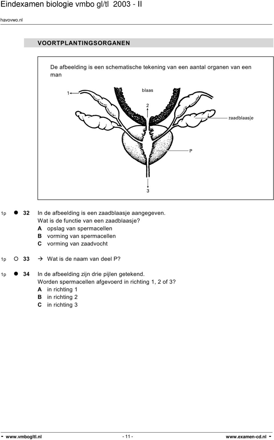 A opslag van spermacellen B vorming van spermacellen C vorming van zaadvocht 1p 33 Wat is de naam van deel P?