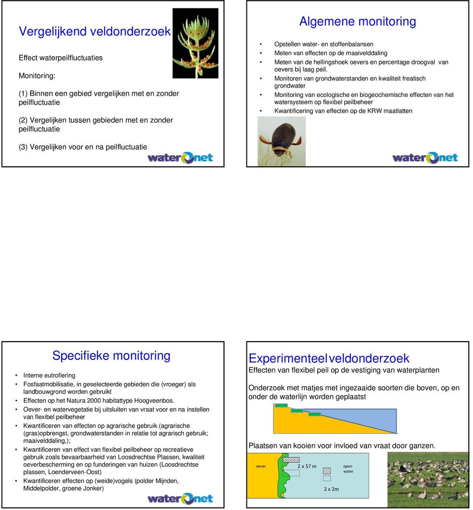 Monitoren van grondwaterstanden en kwaliteit freatisch grondwater Monitoring van ecologische en biogeochemische effecten van het watersysteem op flexibel peilbeheer Kwantificering van effecten op de