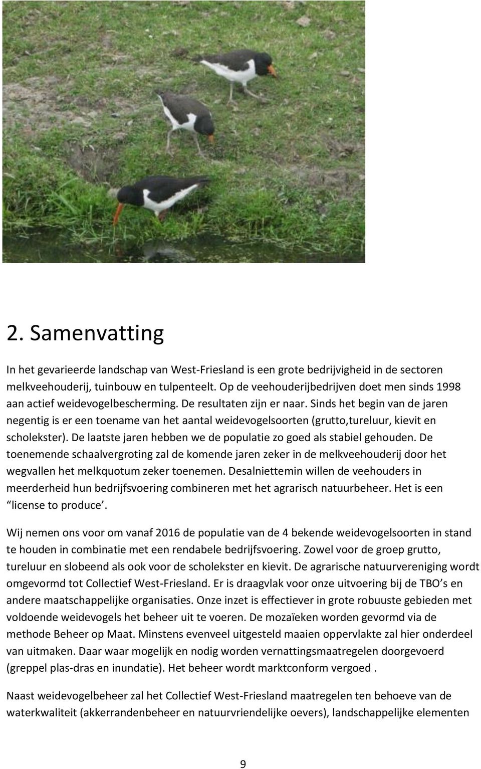 Sinds het begin van de jaren negentig is er een toename van het aantal weidevogelsoorten (grutto,tureluur, kievit en scholekster). De laatste jaren hebben we de populatie zo goed als stabiel gehouden.