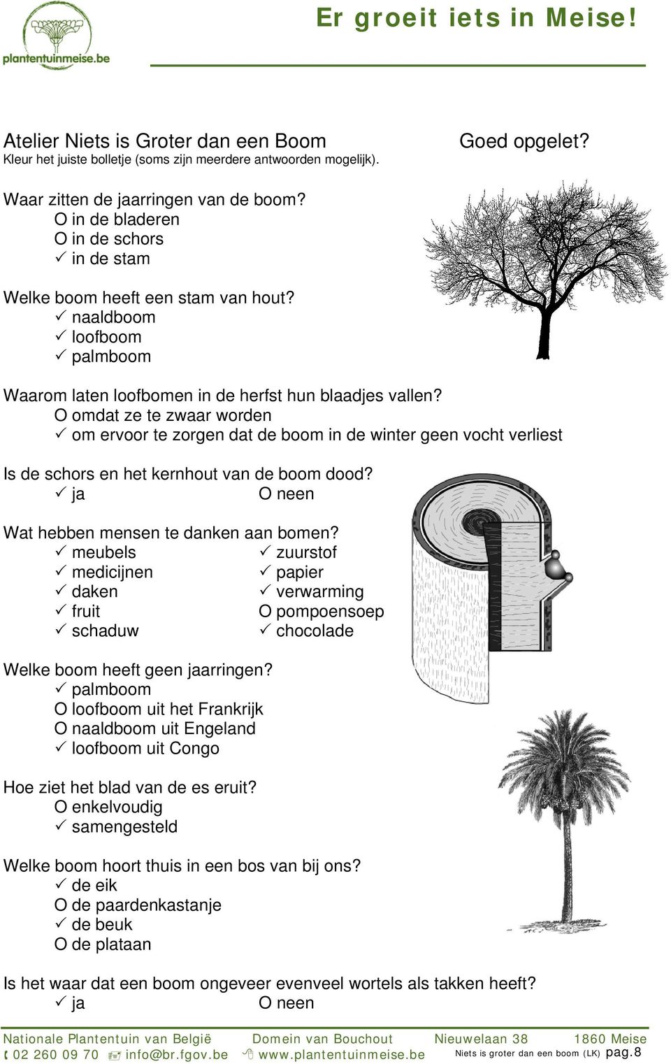 O omdat ze te zwaar worden om ervoor te zorgen dat de boom in de winter geen vocht verliest Is de schors en het kernhout van de boom dood? ja O neen Wat hebben mensen te danken aan bomen?