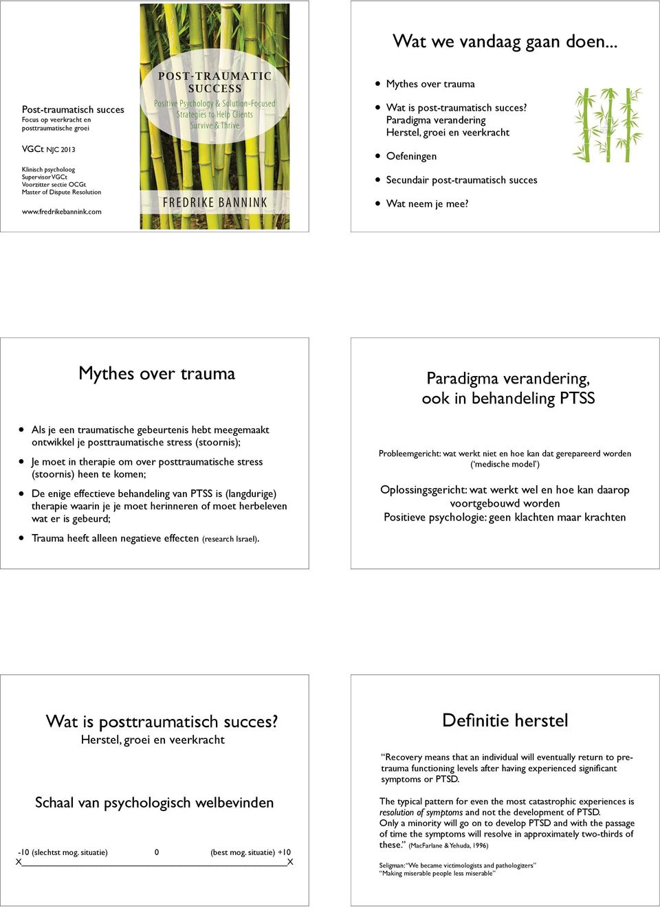 com Mythes over trauma Wat is post-traumatisch succes? Paradigma verandering Herstel, groei en veerkracht Oefeningen Secundair post-traumatisch succes Wat neem je mee?