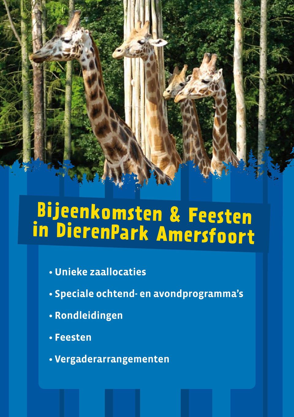 Speciale ochtend- en avondprogramma s